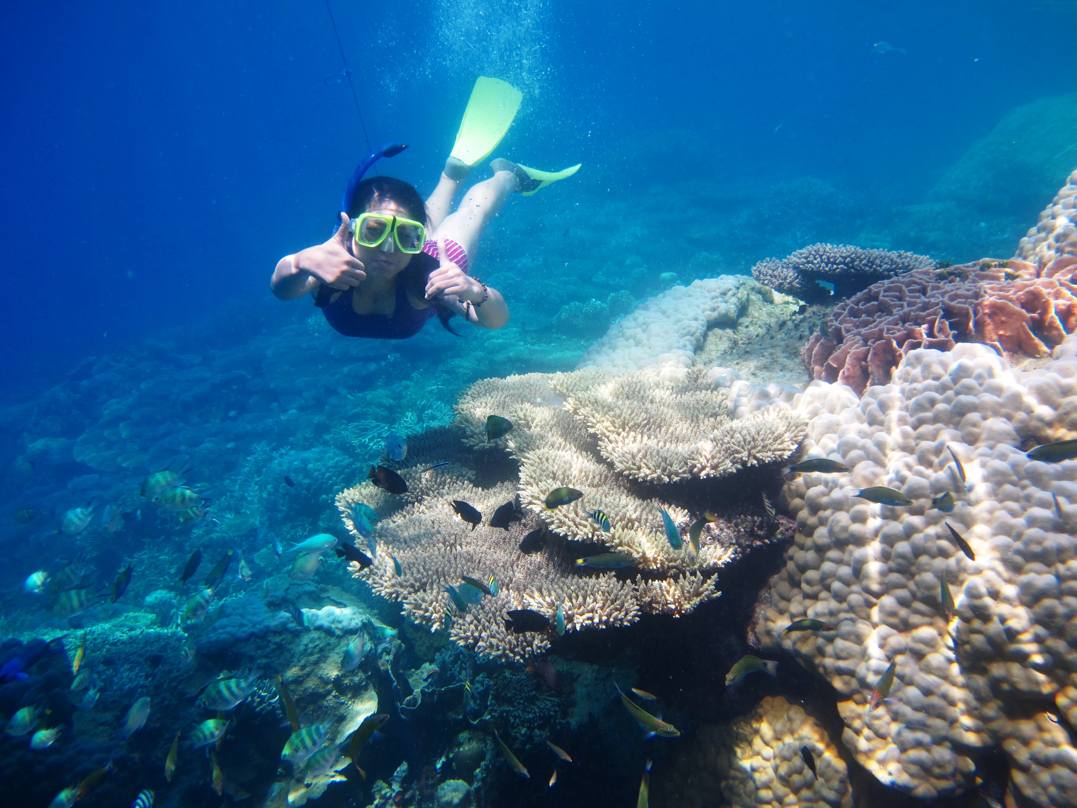 Tamu Karimunjawa Explore